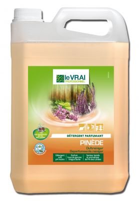 VRAI ODORANT PINEDE en 5L